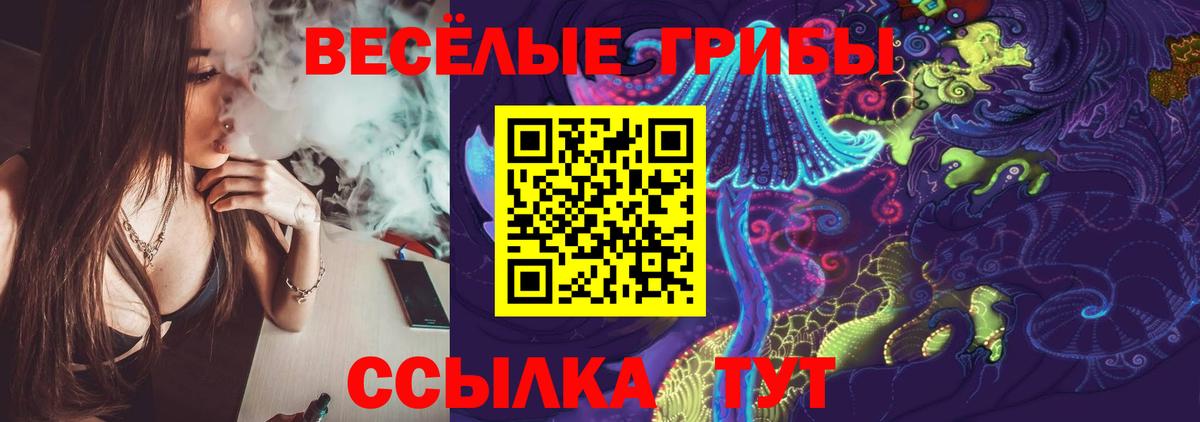 Благовещенск  Псилоцибиновые грибы Magic Shrooms  Вход с VPN 