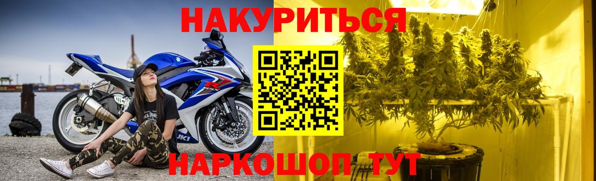 Шишки марихуана планчик  Канабис тримм  Вход с VPN  Каннабис White Widow  Благовещенск 